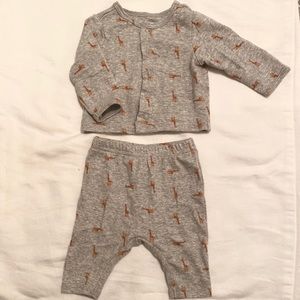 Little Planet Organic Giraffe Set